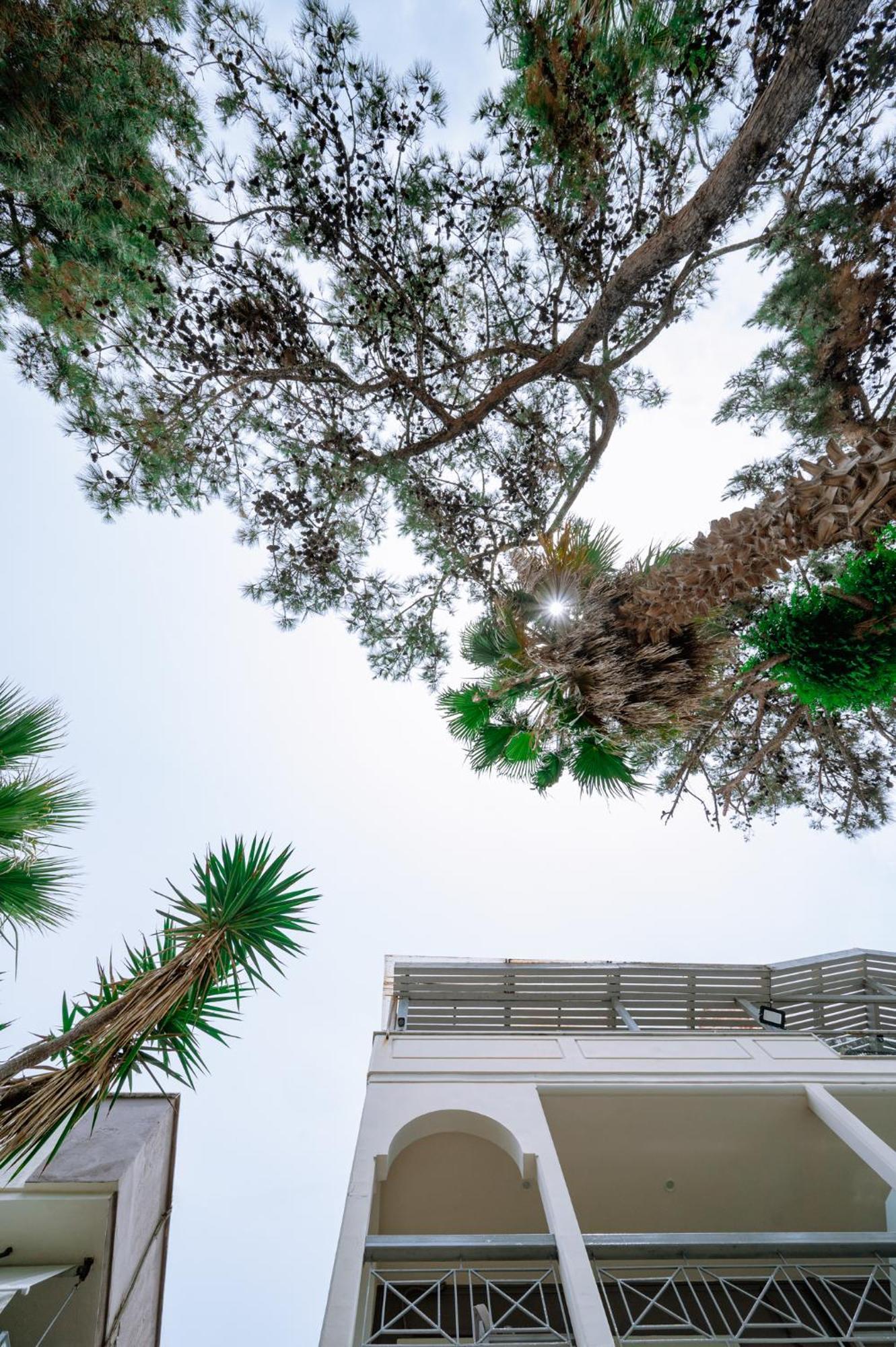 Apartmán Ktima Papaoikonomou Potos Exteriér fotografie